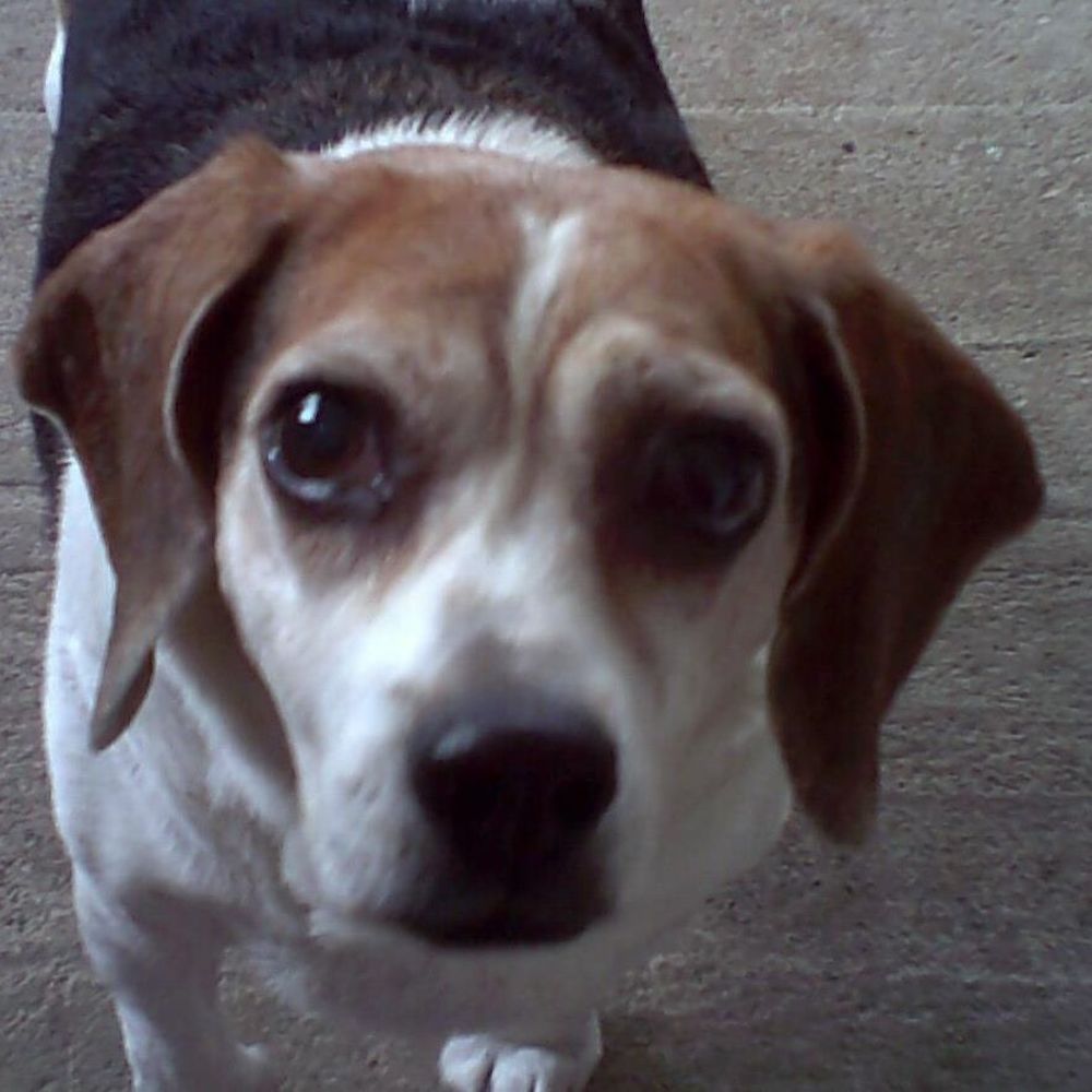 Meet your Posher, Linda